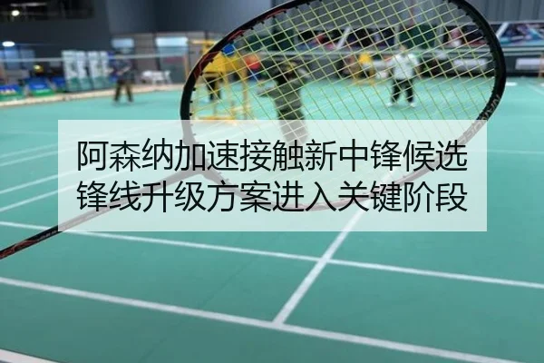 阿森纳加速接触新中锋候选 锋线升级方案进入关键阶段